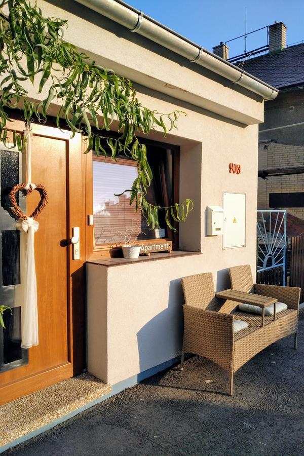 Apartment Vaclavov Decin Ngoại thất bức ảnh